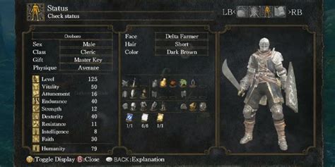 dark souls pve builds|dark souls character planner.
